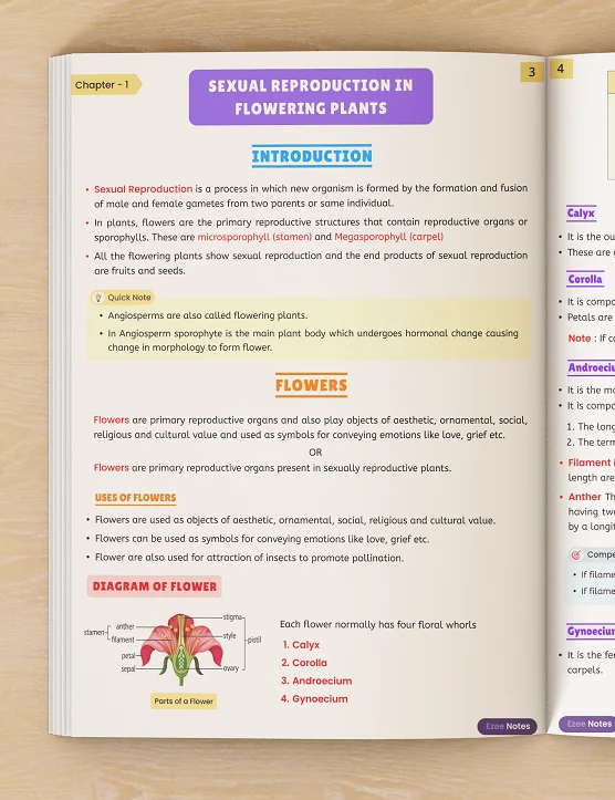 A biology page on sexual reproduction in flowering plants