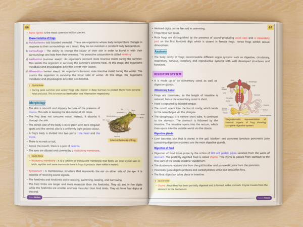 Class 11 Ezee Notes